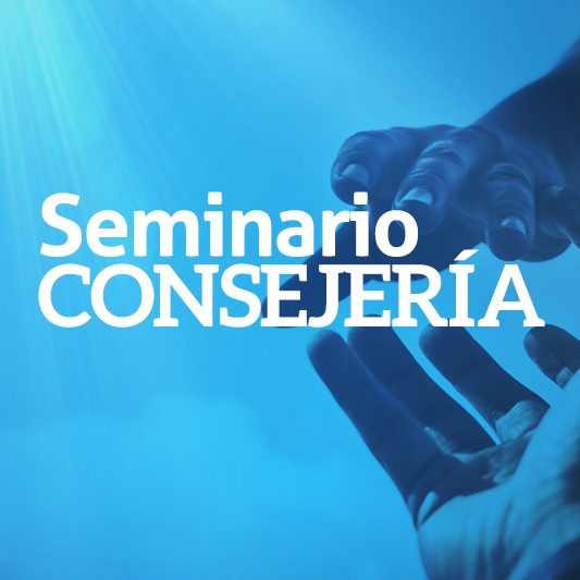 Seminario Consejería